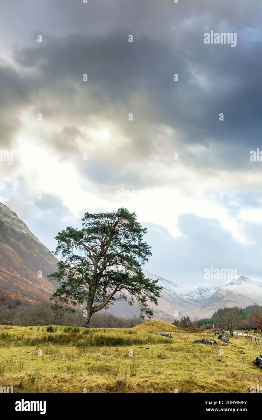 Schottische Highlands Landschaft Ben Nevis Lochaber Mountains Stockfoto