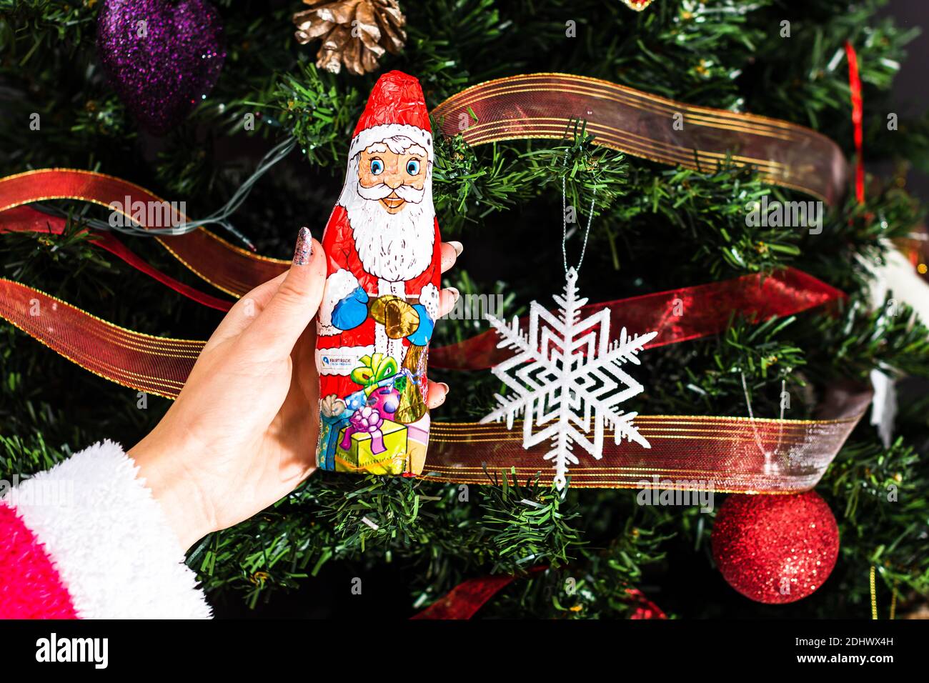 Hand hält die Weihnachtsmann-Schokoladenfigur vor dem Weihnachtsbaum. Dekorieren Christmass Baum isoliert Stockfoto