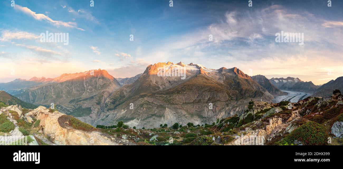 Panoramablick auf Aletschgletscher und Berge bei Sonnenaufgang, Berner Alpen, Kanton Wallis, Schweiz Stockfoto