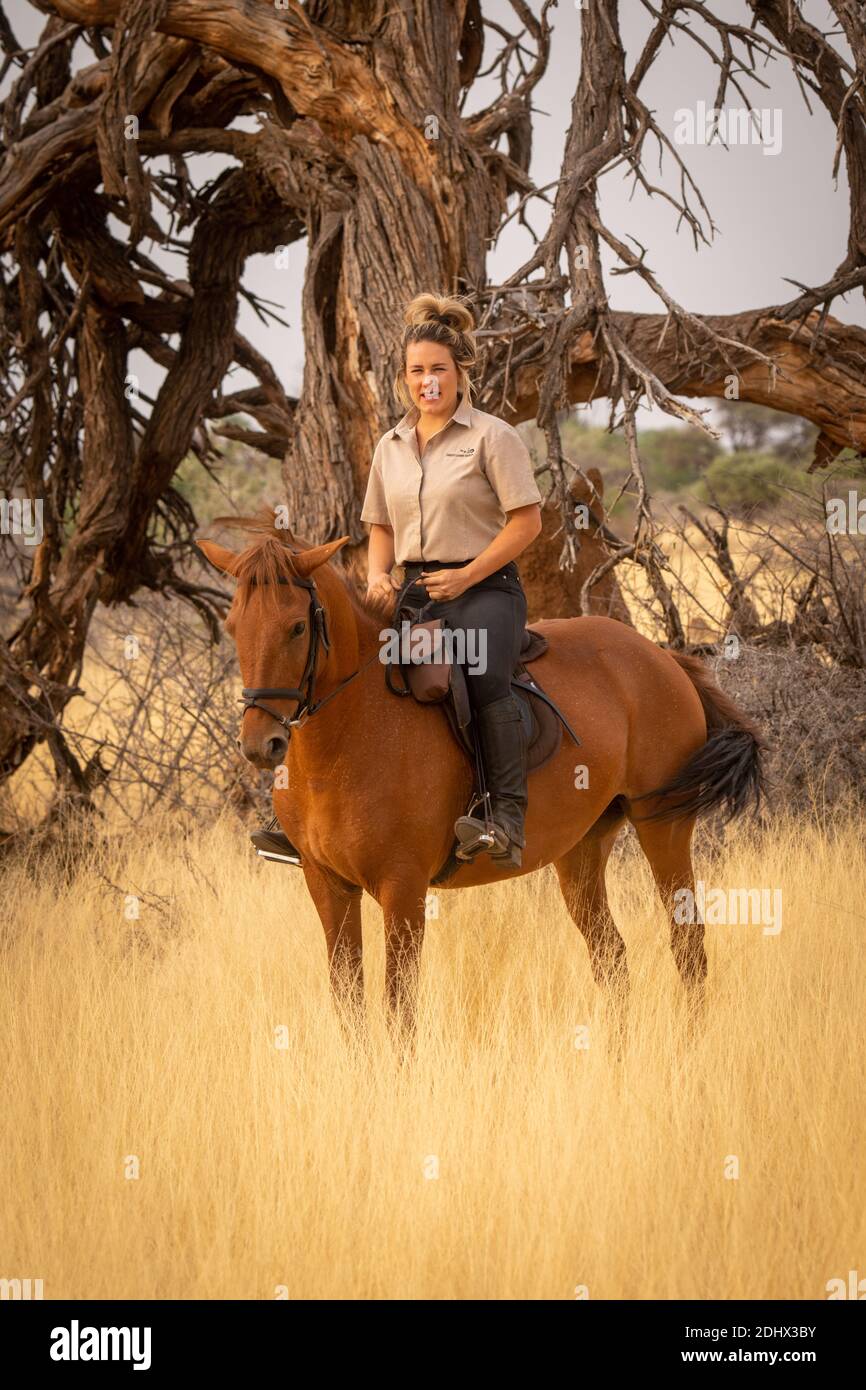 Blonde auf dem Pferderücken von verdrehten toten Baum Stockfoto