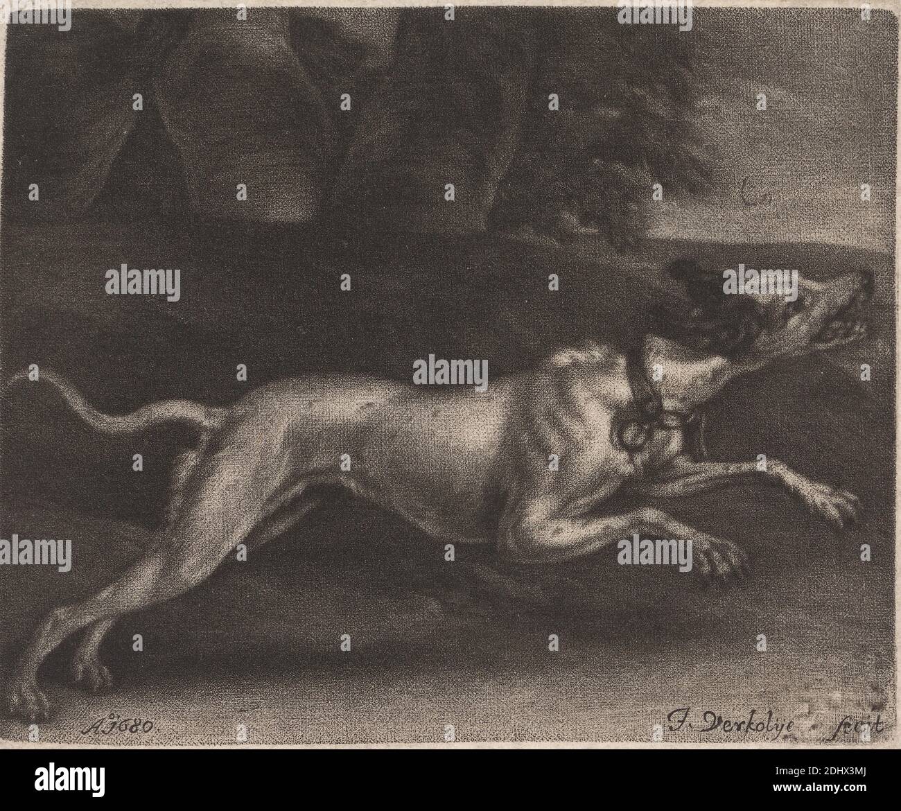 Ein laufender Hund, Druck von Jan Verkolje, 1650–1693, Niederländisch, 1680, Mezzotint auf Medium, leicht strukturiert, weiß gebläut, Papier gelegt, Blatt: 3 9/16 × 4 5/16 Zoll (9 × 11 cm Stockfoto