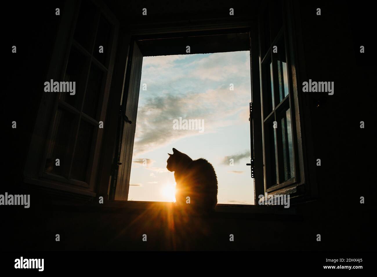 Die Silhouette einer Katze an einem offenen Fenster bei einem Sonnenuntergang mit Wolken am Himmel. Stockfoto