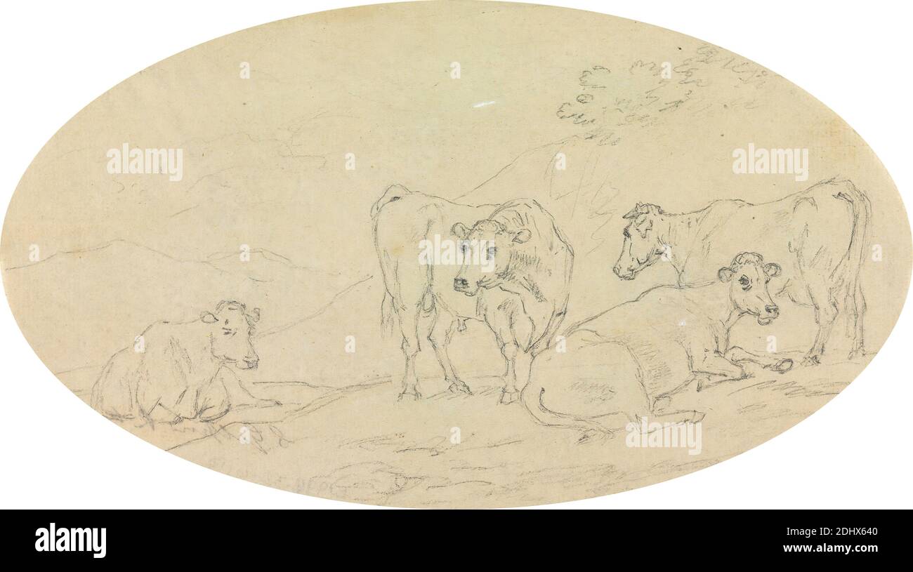 Vier Kühe auf einem Feld, Sawrey Gilpin, 1733–1807, britisch, undatiert, Graphit auf dünn, leicht strukturiert, beige, Papier gelegt, Blatt: 4 × 7 1/8 Zoll (10.2 × 18.1 cm), Tierkunst Stockfoto