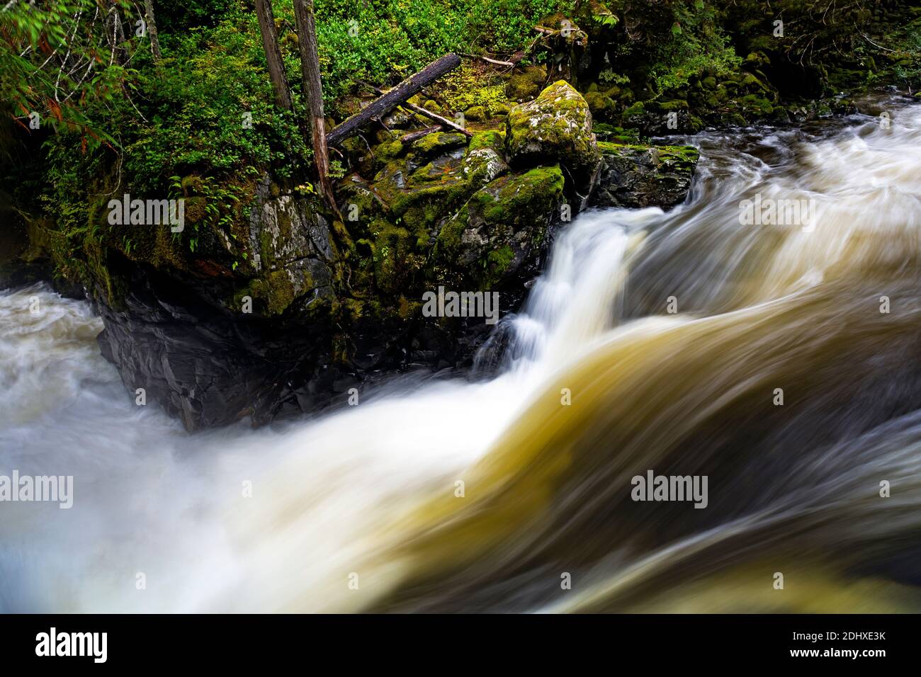 WA18722-00...WASHINGTON - Wasserfall am Bach in Deception Falls National Recreation Area liegt am Highway 2 in der Nähe von Stevens Pass. Stockfoto