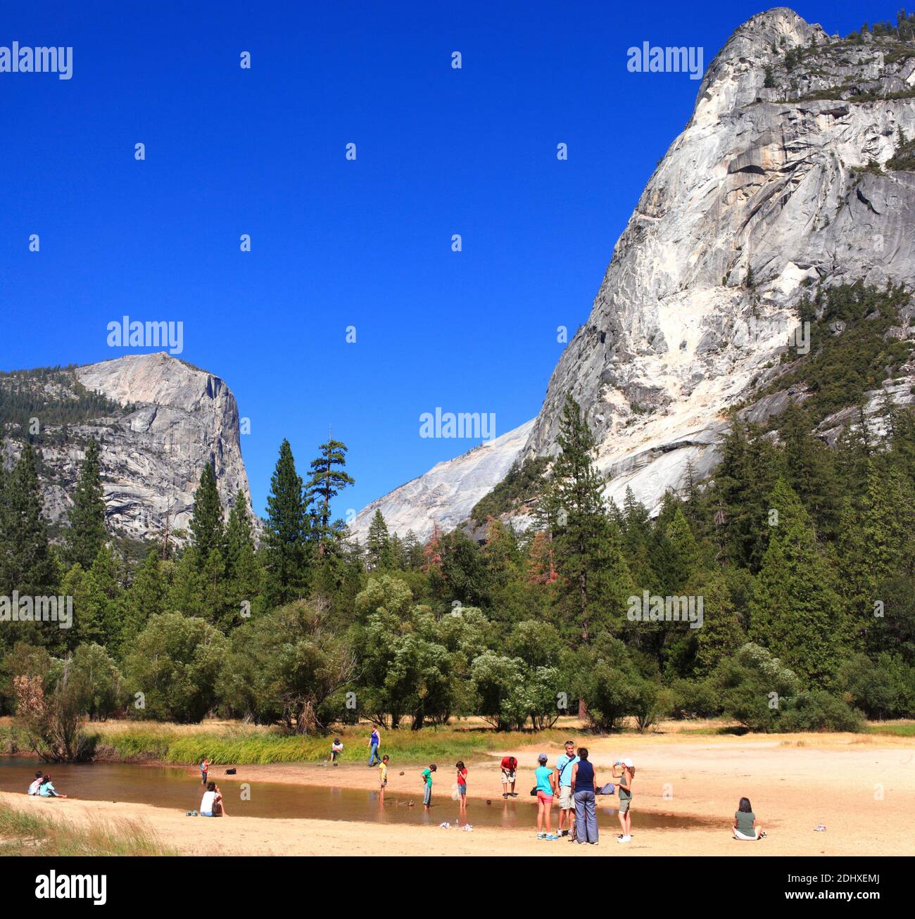 Schrumpfendes Wasserloch im Park Stockfoto