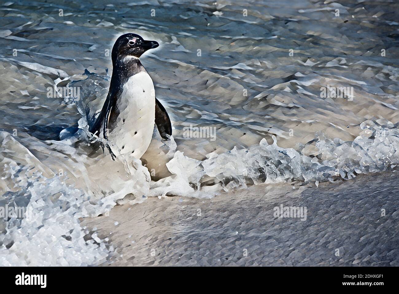 Südafrika, Kapstadt, Simon's Town, Boulders Beach. Afrikanische Pinguinkolonie (Spheniscus demersus). Computer verbessert. Stockfoto