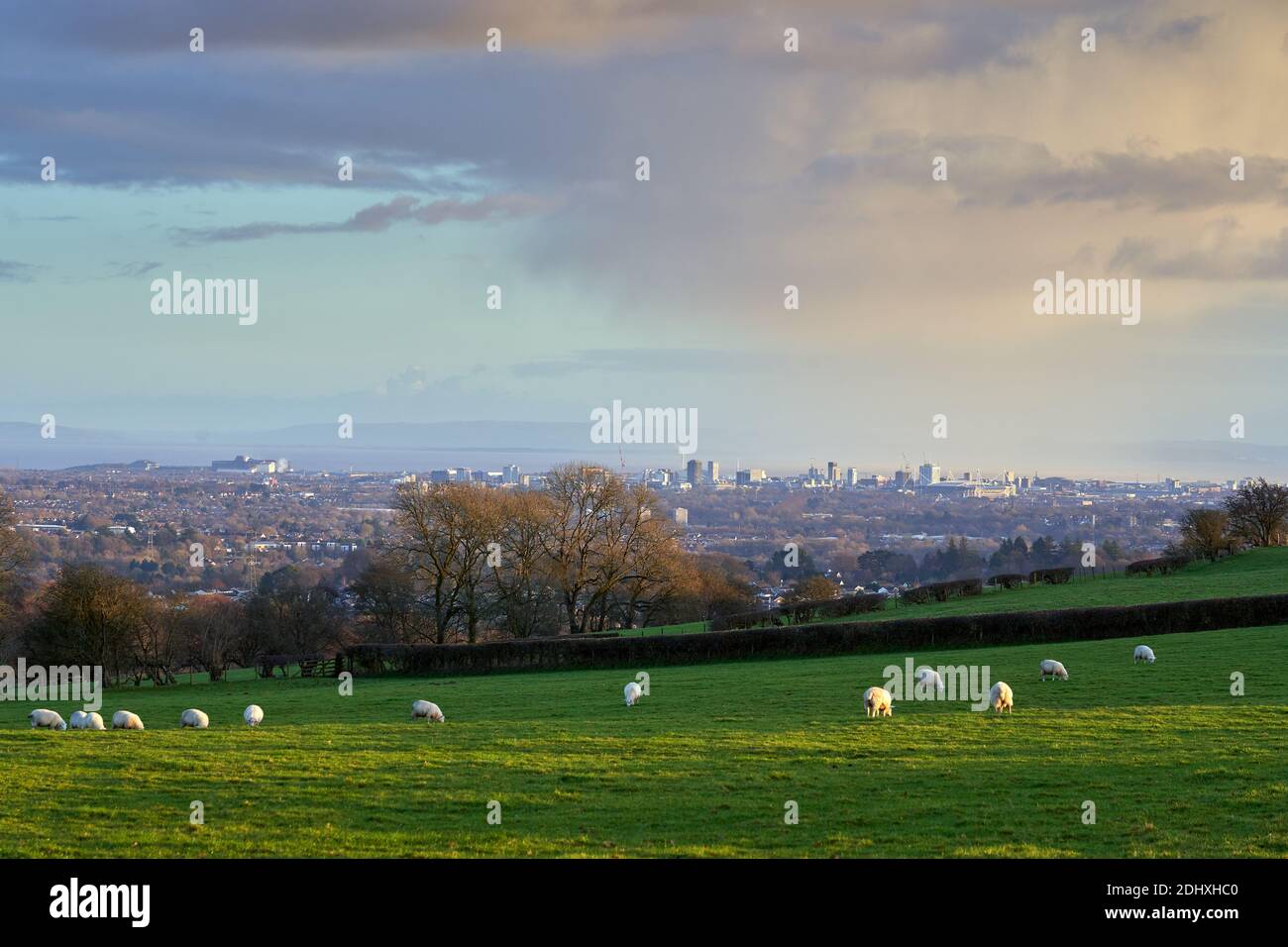 Blick über Cardiff, South Wales, von hügeligem Ackerland in Pentyrch Stockfoto