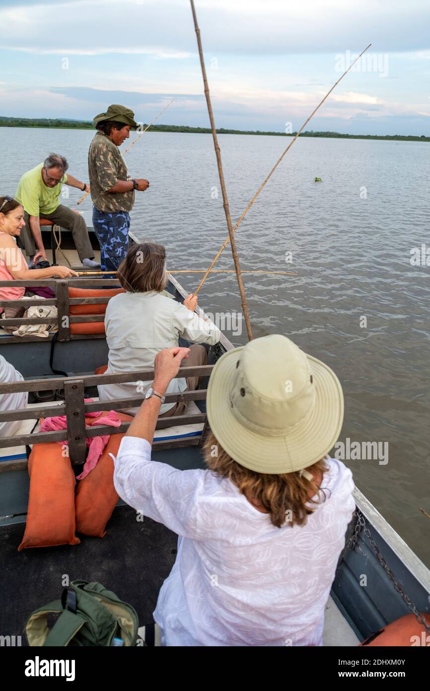 Eine kleine Gruppe von Touristen auf einer Tier- und Pflanzenwelt-Sight-Seeing-Safari an Bord eines Motorstarts, Angeln für Piranhas mit einem einfachen Stock als Angelrute Stockfoto