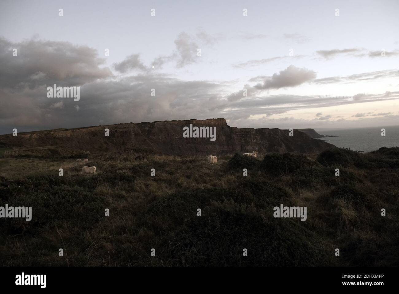 Dramatische Wolkenlandschaft über der zerklüfteten Nordküste in der Nähe von Port Isaac, Cornwall, England, entlang des National Trust Coast Path. Stockfoto