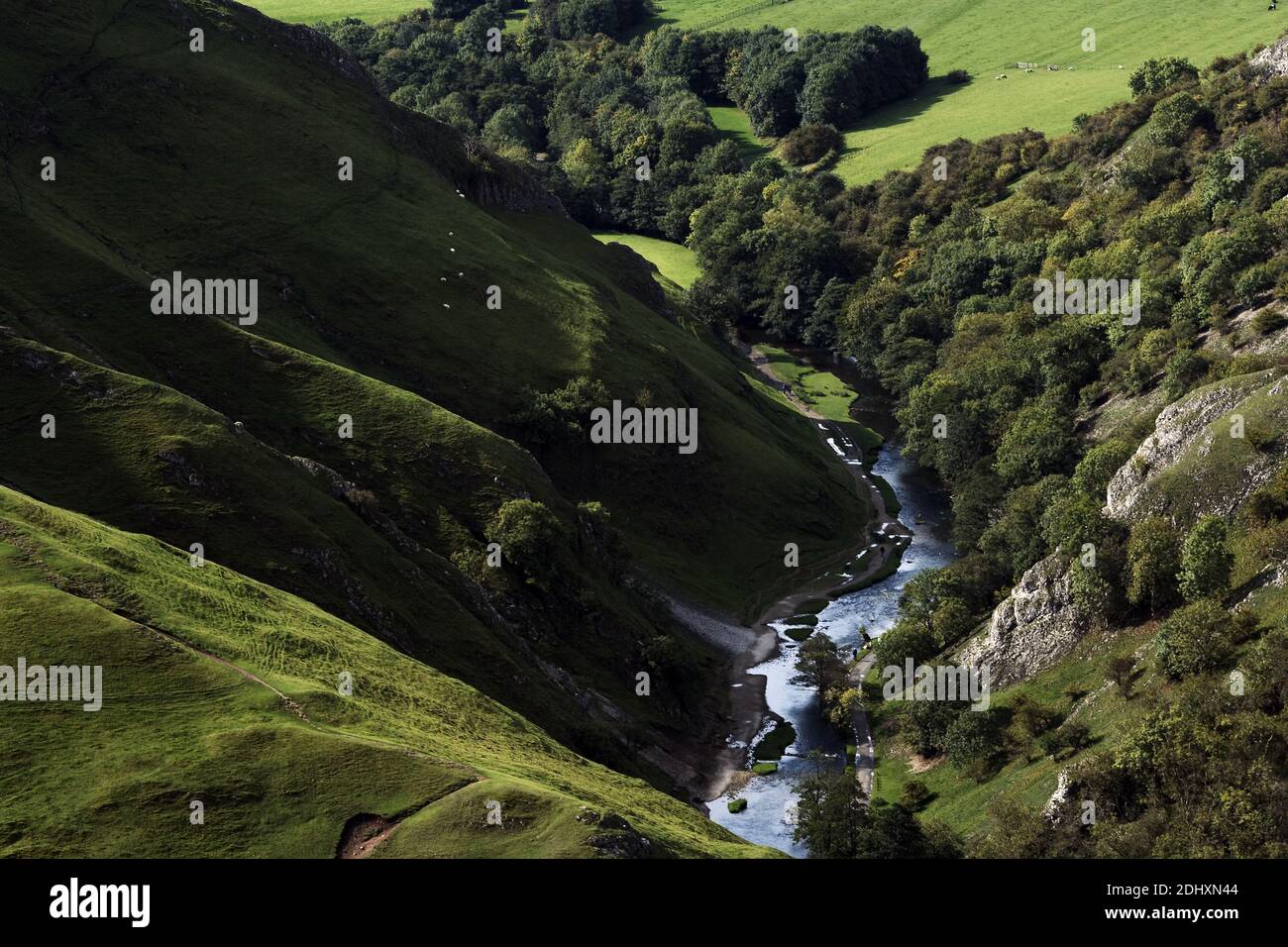 Dovedale Peak District Staffordshire Derbyshire England Vereinigtes Königreich Stockfoto