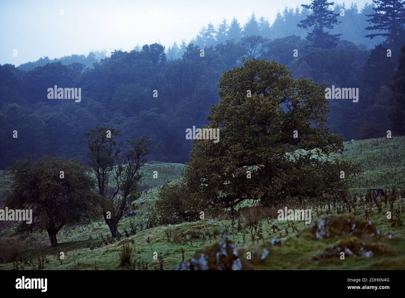 GROSSBRITANNIEN / England , Foggy Landscape at Low Wray, Windermere, Lake District, Großbritannien Stockfoto