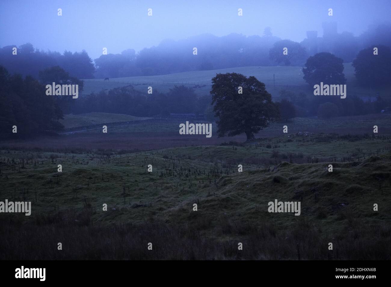 GROSSBRITANNIEN / England , Foggy Landscape at Low Wray, Windermere, Lake District, Großbritannien Stockfoto