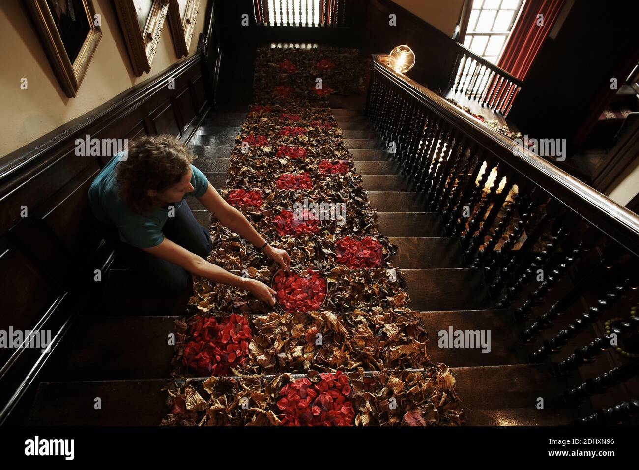 Blumen säumen die Haupttreppe im Antony House in Cornwall, Großbritannien Stockfoto