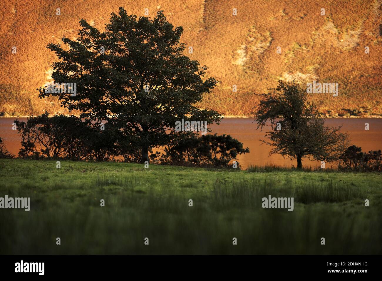 GROSSBRITANNIEN / England/ Lake District/ Sonnenuntergang am Wastwater und Great Gable. Stockfoto
