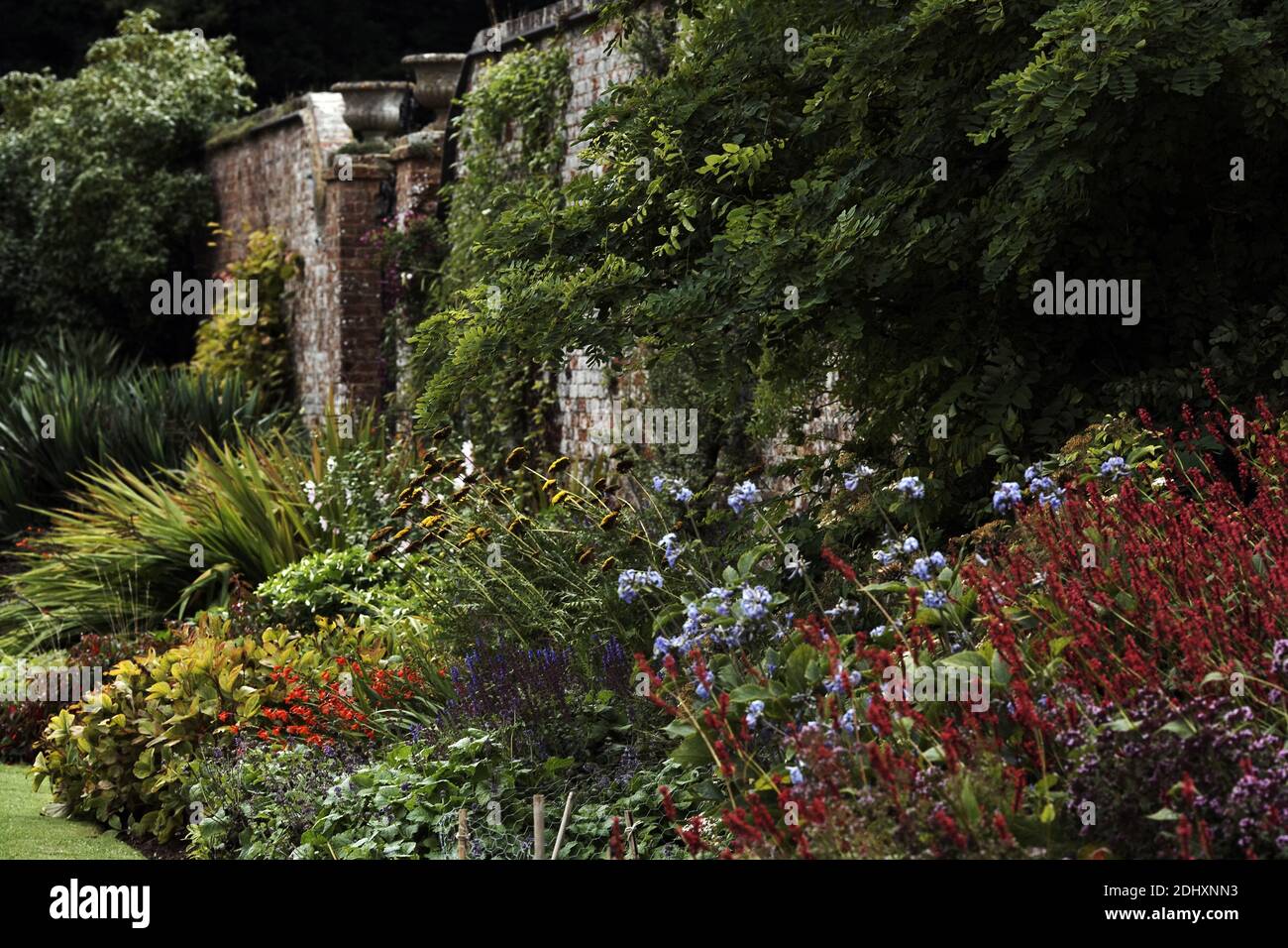 GROSSBRITANNIEN / England /Polesden Lacey farbenfroher, von Mauern umzäunter Garten mit einer Mischung aus Blumen. Stockfoto