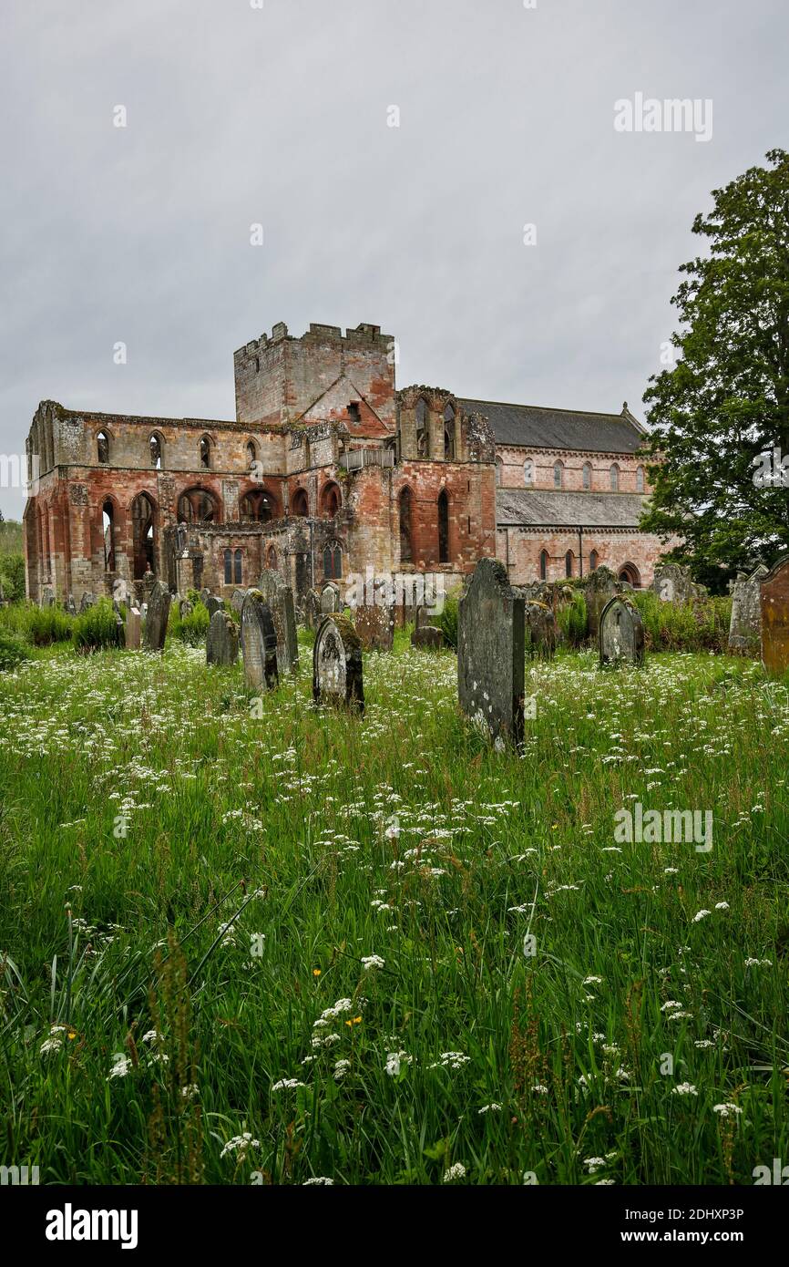 Kirche-Hof (Friedhof)-Grabsteine und Ruinen von Lanercost Priory, North Brampton, Cumbria, England, Vereinigtes Königreich Stockfoto