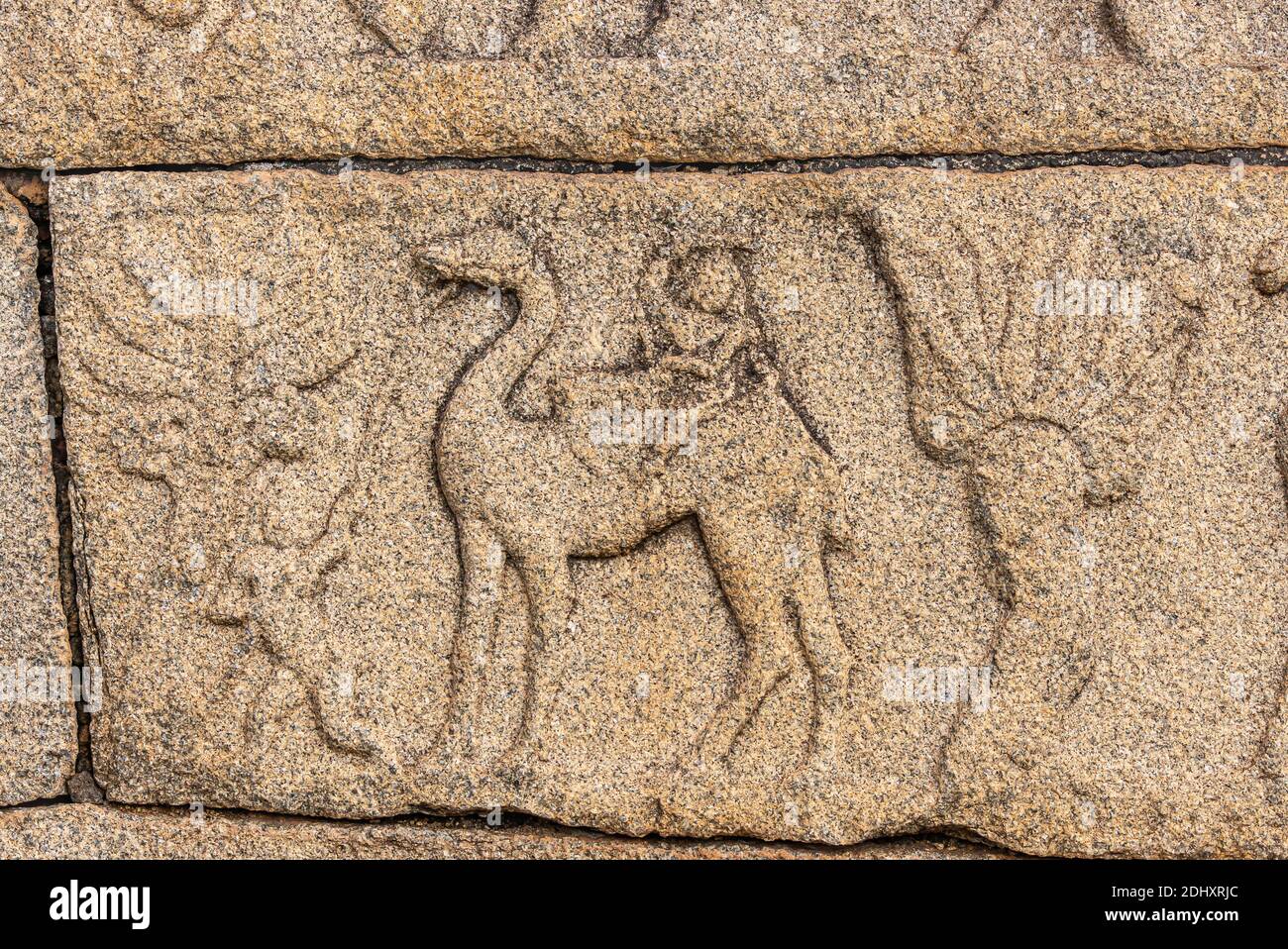 Hampi, Karnataka, Indien - 4. November 2013: Wandbildhauerei auf Stein bei Royal Enclosure. Nahaufnahme der Skulptur auf brauner Steinwand der Frau auf Kamel wi Stockfoto