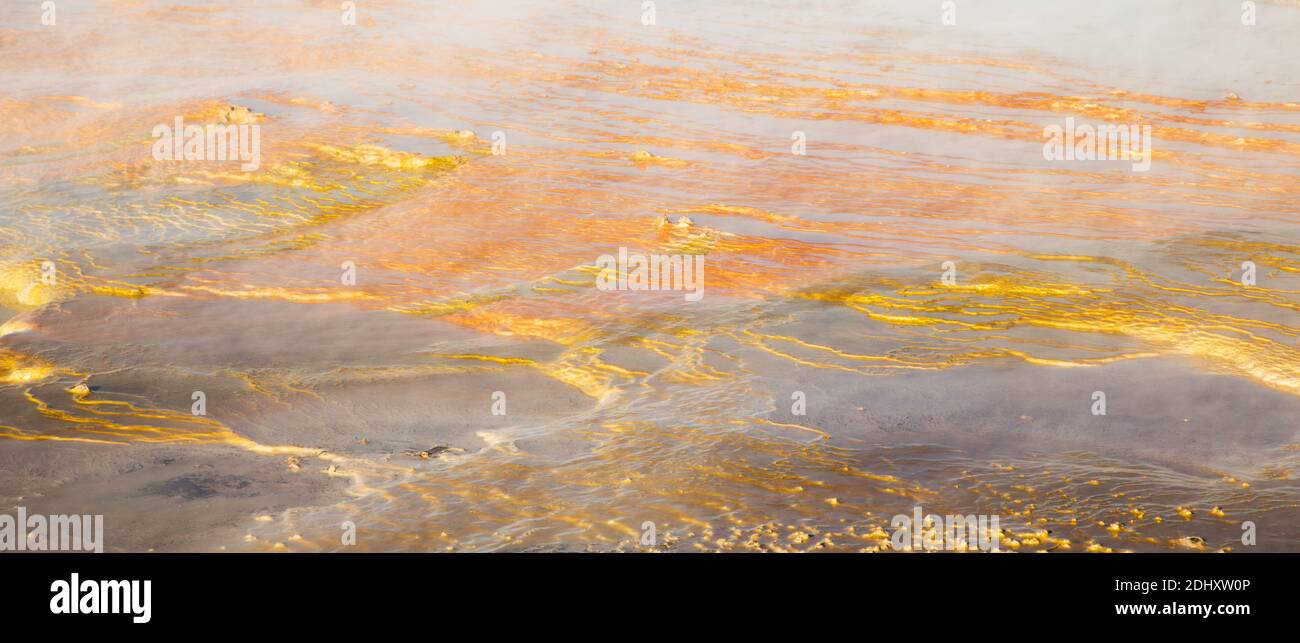 Blattflüsse lagern gelben Schwefel und andere bunte Mineralien auf dem Boden bei El Tatio Geysir Feld und Geothermie-Bereich, die Anden, Chile Stockfoto