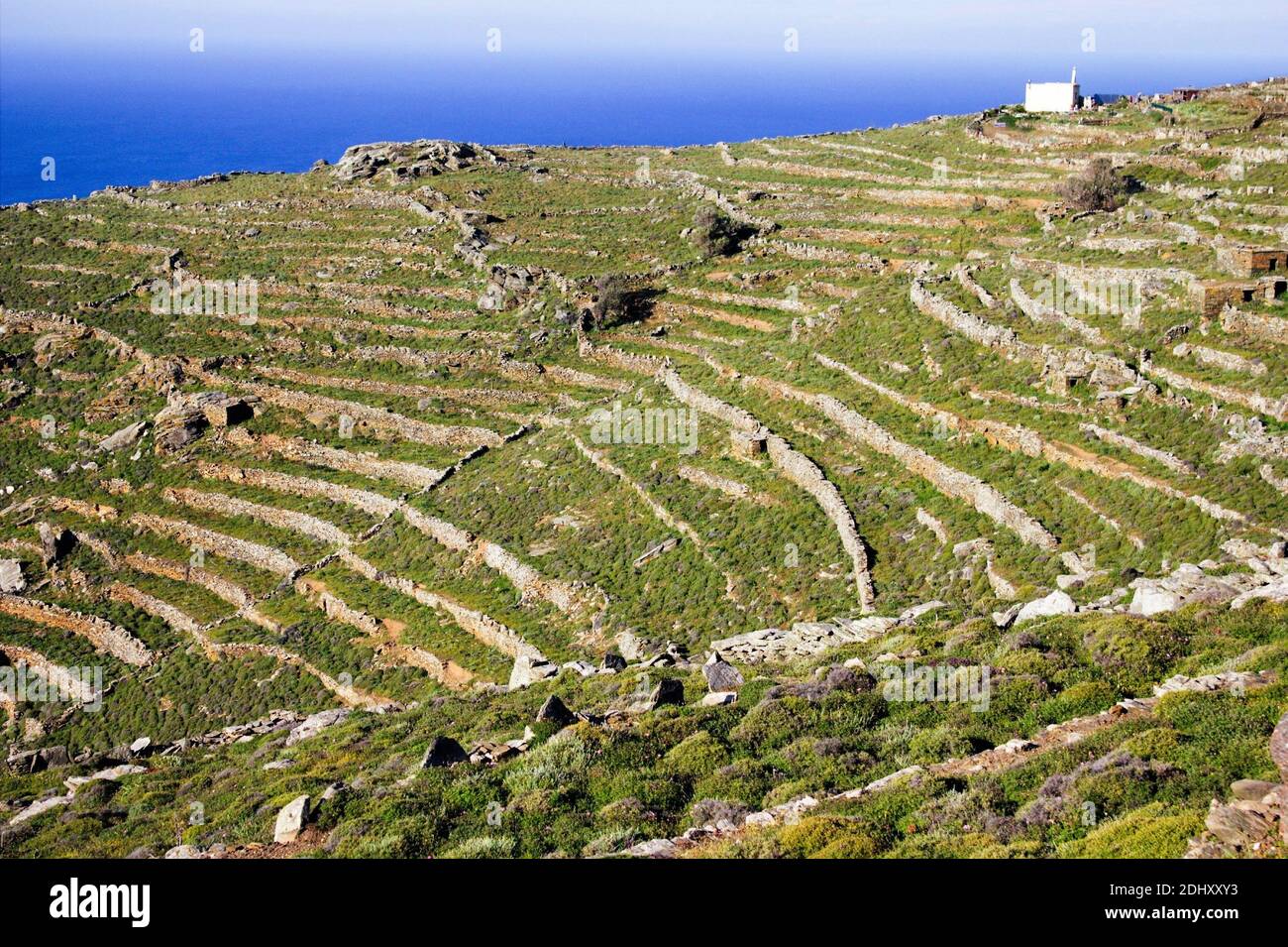 Landschaft der Insel Tinos in Griechenland mit terrassierten Feldern. Stockfoto