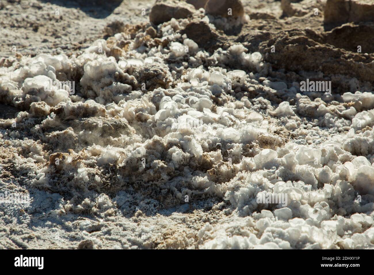 Nahaufnahme von Mineralvorkommen Geysir- und Geothermiegebiet El Tatio, hoch in den Anden, Atacama-Region, Nordchile, Südamerika Stockfoto