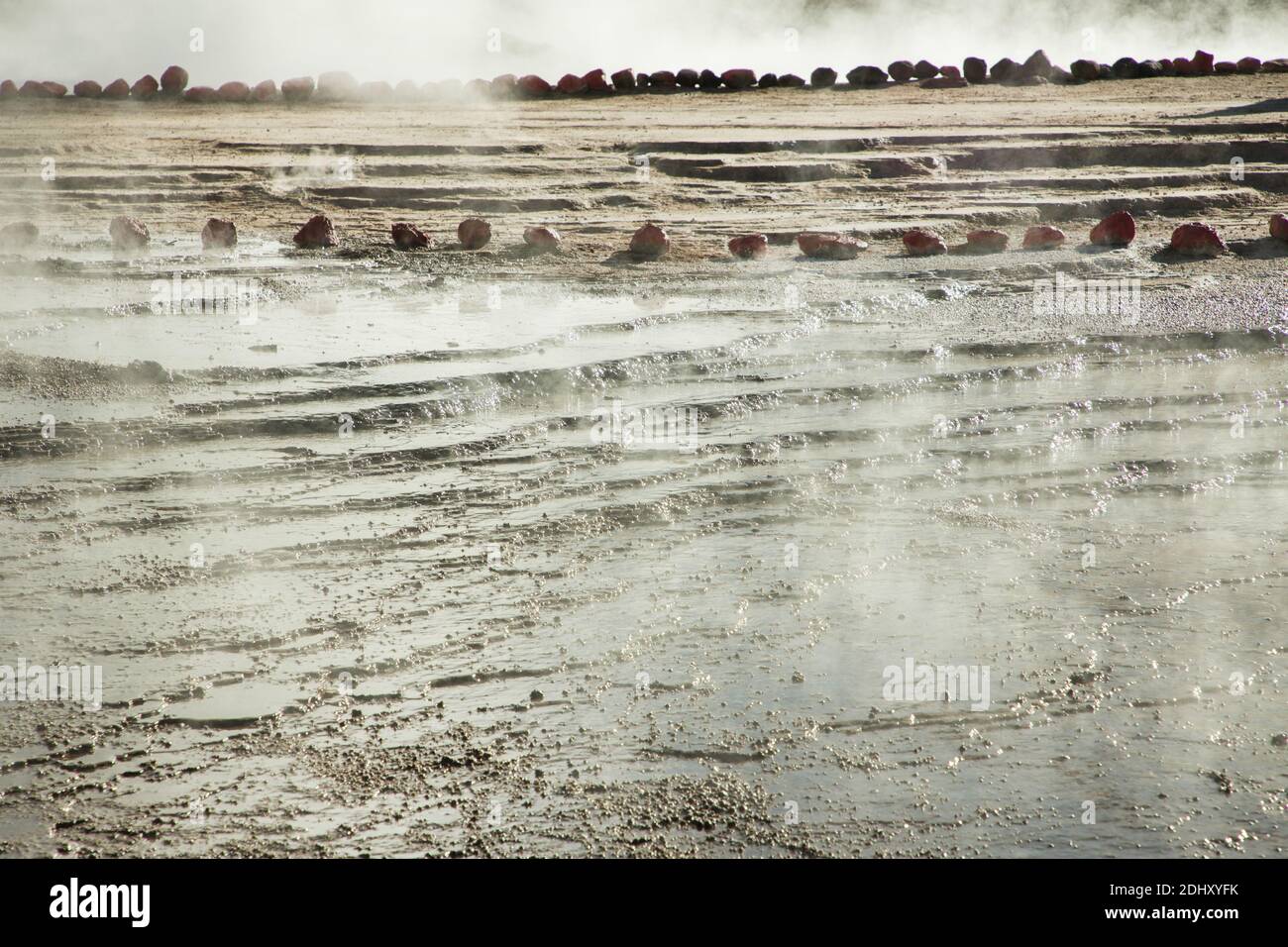 Blattflüsse lagern gelben Schwefel und andere bunte Mineralien auf dem Boden bei El Tatio Geysir Feld und Geothermie-Bereich, die Anden, Chile Stockfoto