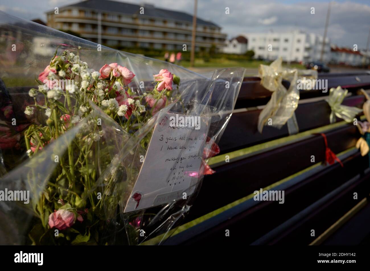 AJAXNETPHOTO. WORTHING, ENGLAND. - ERINNERN - BLUMEN, DIE IM GEDÄCHTNIS VON JEMAND ZURÜCKGELASSEN WERDEN, DER GESTORBEN IST. AUF EINER ÖFFENTLICHEN BANK AUF DER PROMENADE BEI DER MARINE PARADE.FOTO:JONATHAN EASTLAND/AJAX REF:NA130206 551 Stockfoto