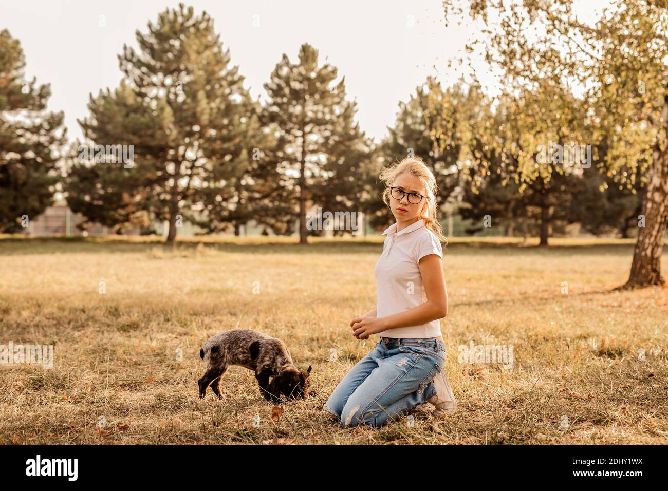 Schönes Mädchen spielt mit einem Hund. Spielen mit dem Hund im Park. Nahaufnahme im Hochformat. Jack Russell Terrier Stockfoto