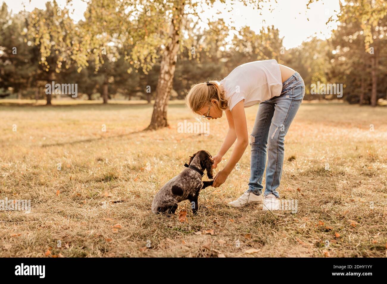 Schönes Mädchen spielt mit einem Hund. Spielen mit dem Hund im Park. Nahaufnahme im Hochformat. Jack Russell Terrier Stockfoto