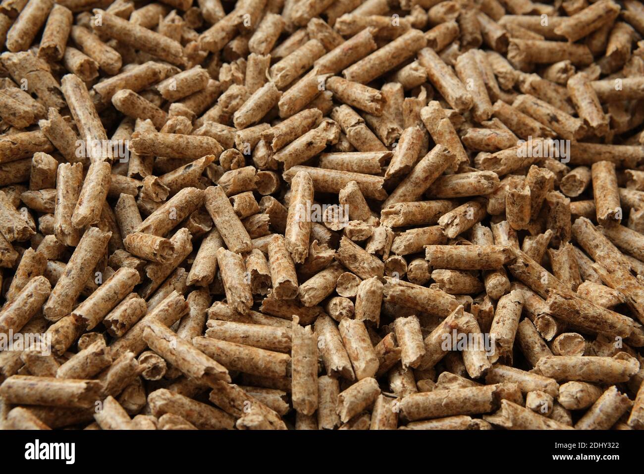 Holzpellets Textur. Pellets aus komprimiertem Holz und als natürlicher Katzenstreu verwendet. Umweltfreundliches und biologisch abbaubares Material. Stockfoto