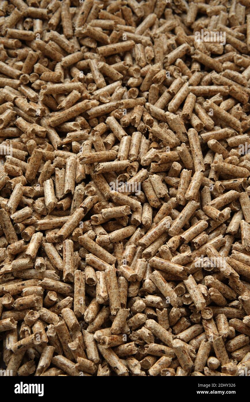 Holzpellets Textur. Pellets aus komprimiertem Holz und als natürlicher Katzenstreu verwendet. Umweltfreundliches und biologisch abbaubares Material. Stockfoto