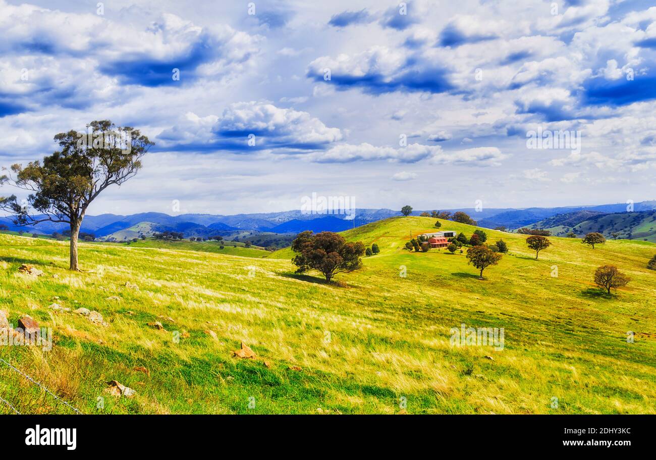 Grüne Weide kultivierte Weide rund um Bauernhaus in abgelegenen ländlichen Region Australiens - malerische Hügelketten im Sommer. Stockfoto