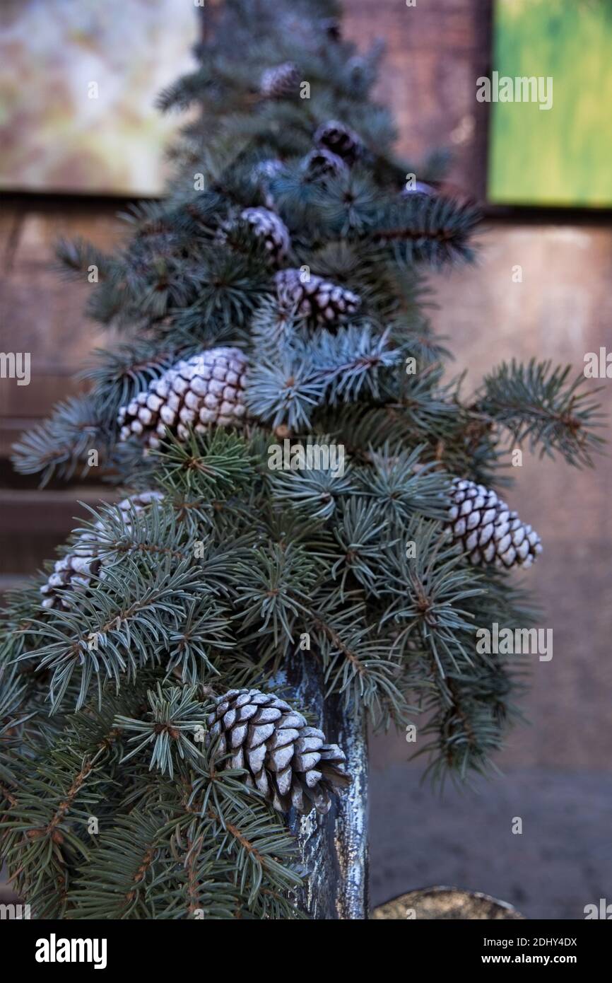 Weihnachtliche Dekoration eines Treppengeländers vor einem Haus mit Ästen und Tannenzapfen eines blauen Weihnachtsbaums. Festliche Girlande aus Tannenzweigen Stockfoto