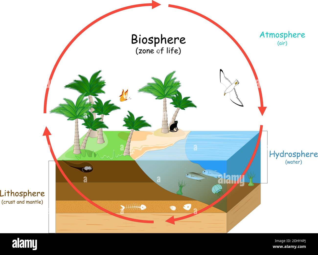 Biosphäre ist eine Zone des Lebens auf der Erde. Natürliche Ökosysteme mit Wildtieren. Ecosphäre (Umwelt), Hydrosphäre (Wasser), Atmosphäre (Luft), Lithosphäre Stock Vektor