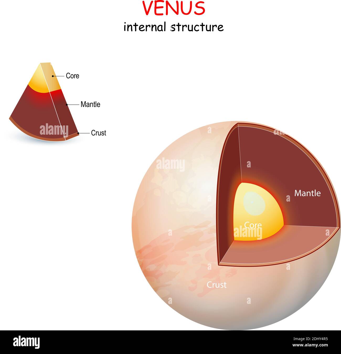 Innere Struktur der Venus. Querschnitt des Planeten vom Kern zum Mantel und zur Kruste. Sonnensystem. Infografiken. vektordiagramm Stock Vektor