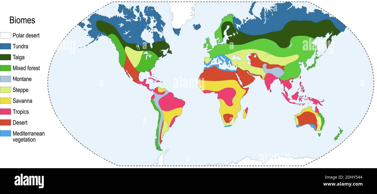 Biomes. Das terrestrische Ökosystem ist eine Gemeinschaft lebender Organismen. Biotop: Bergland, Wüste, Tropen, Savanne, Steppe, mittelmeer, Mischwald Stock Vektor Biomes. Das terrestrische Ökosystem ist eine Gemeinschaft lebender Organismen. Biotop: Bergland, Wüste, Tropen, Savanne, Steppe, mittelmeer, Mischwald Stock Vektor