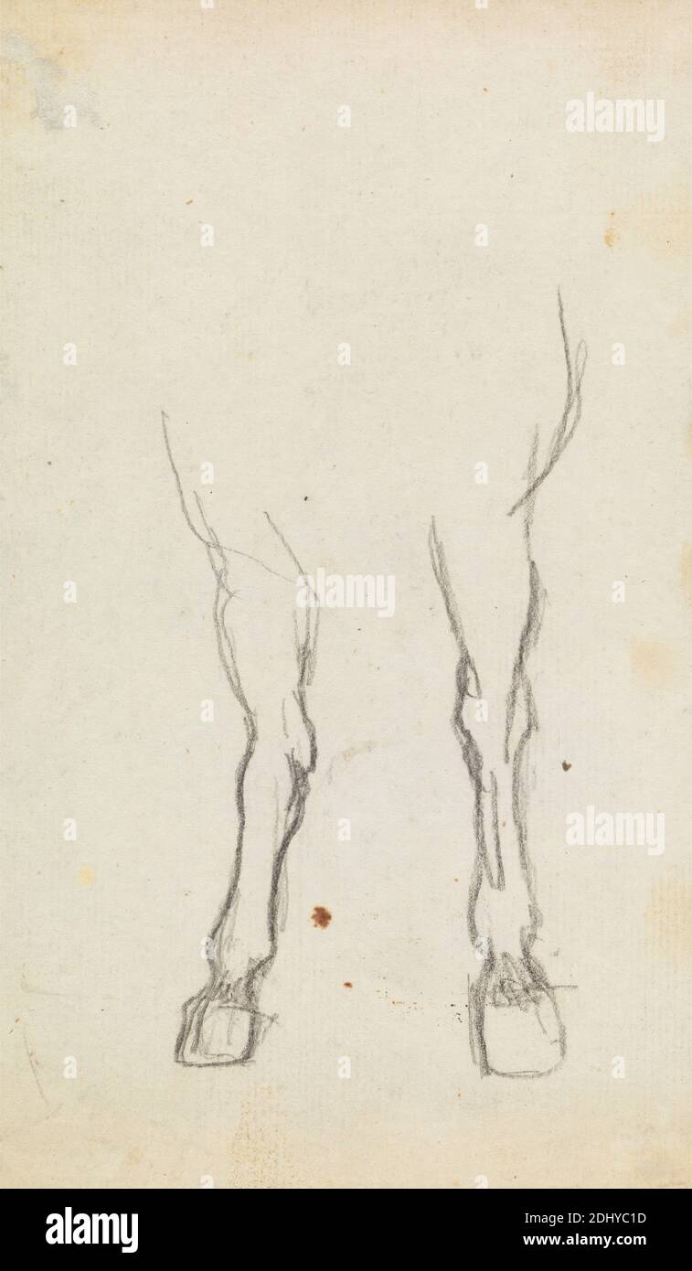 Studie der Hufe eines Pferdes, George Romney, 1734–1802, britisch, undatiert, Graphit auf Medium, leicht strukturiert, cremefarbenes Papier, Blatt: 7 1/2 x 4 3/8 Zoll (19.1 x 11.1 cm), Tierkunst Stockfoto