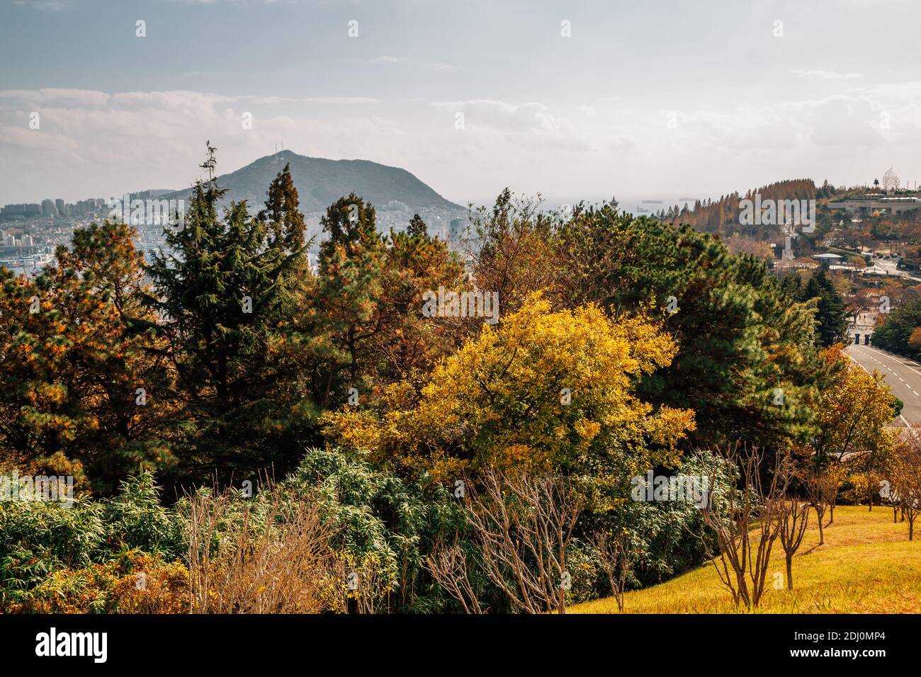 Herbstlandschaft des Jungang Parks (Daecheong Park) in Busan, Korea Stockfoto