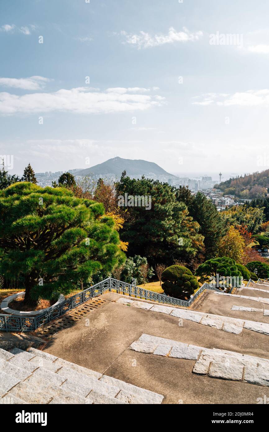 Herbstlandschaft des Jungang Parks (Daecheong Park) in Busan, Korea Stockfoto
