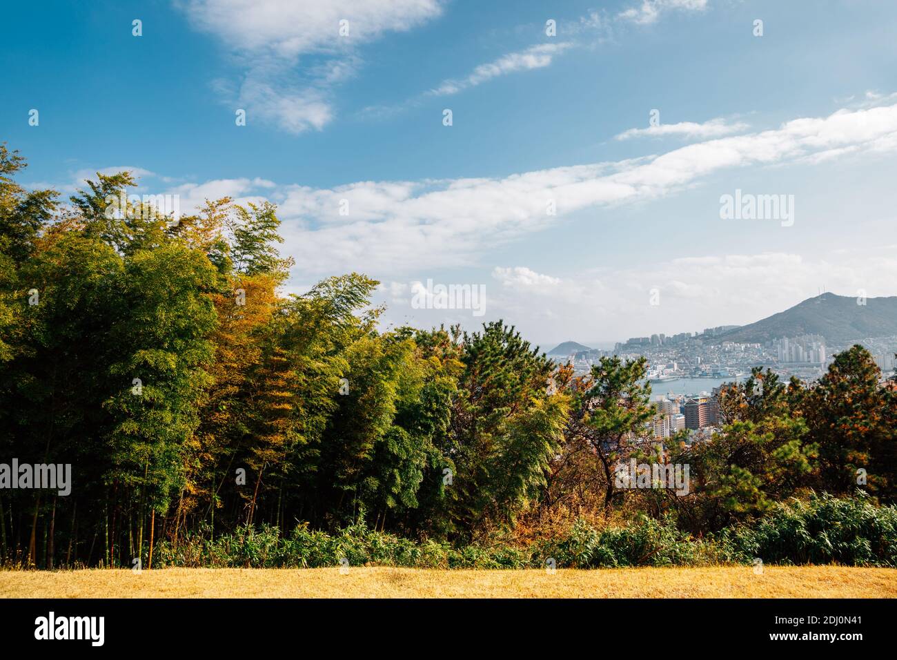 Jungang Park (Daecheong Park) und Busan Hafen Stadtansicht in Busan, Korea Stockfoto