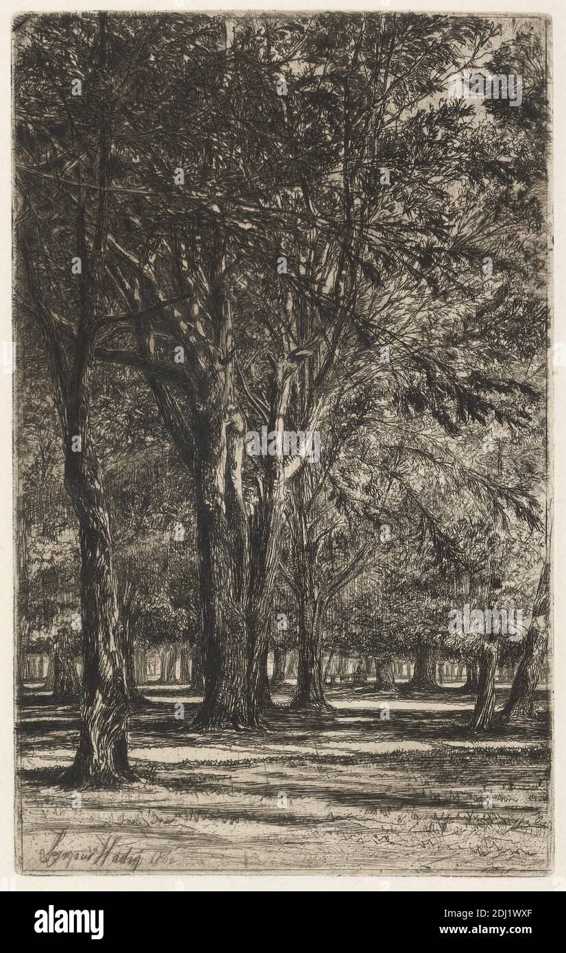 Kensington Gardens, nein 2 (großer Teller), Francis Seymour Haden, 1818–1910, British, 1860, Ätzung und Trockenpunkt, mit Tellerton auf dickem, leicht strukturiertem, cremefarbenem Papier mit cremefarbenem Chine-Collé, Blatt: 17 3/16 x 12 1/2 Zoll (43.6 x 31.7 cm), Platte: 7 15/16 x 4 15/16 Zoll (20.2 x 12.6 cm) und Bild: 7 15/16 x 4 15/16 Zoll (20.2 x 12.6 cm), Äste, Stadtbild, Gras, Landschaft, Blätter, Licht, Park (Gelände), Schatten, Bäume, England, Europa, Hyde Park, Kensington, Kensington Gardens, London, Großbritannien Stockfoto