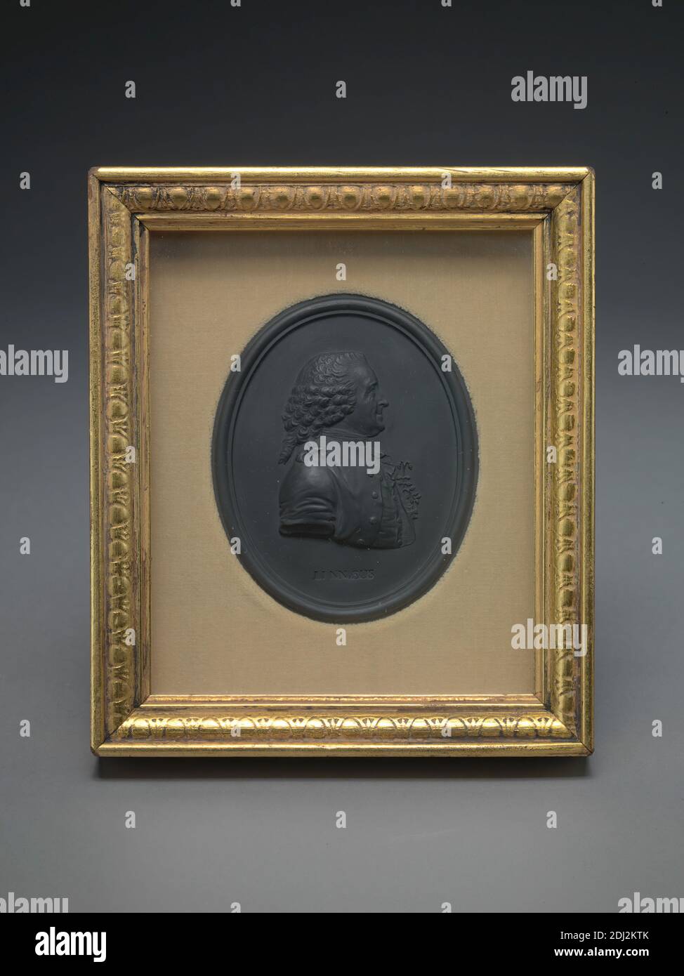 Sir Charles Linnaeus, Josiah Wedgwood, 1730–1795, britisch, nach John Webber, 1752–1793, britisch, undatiert, Wedgwood black basaltes, Blatt: 4 Zoll (10,2 cm), Hochformat Stockfoto