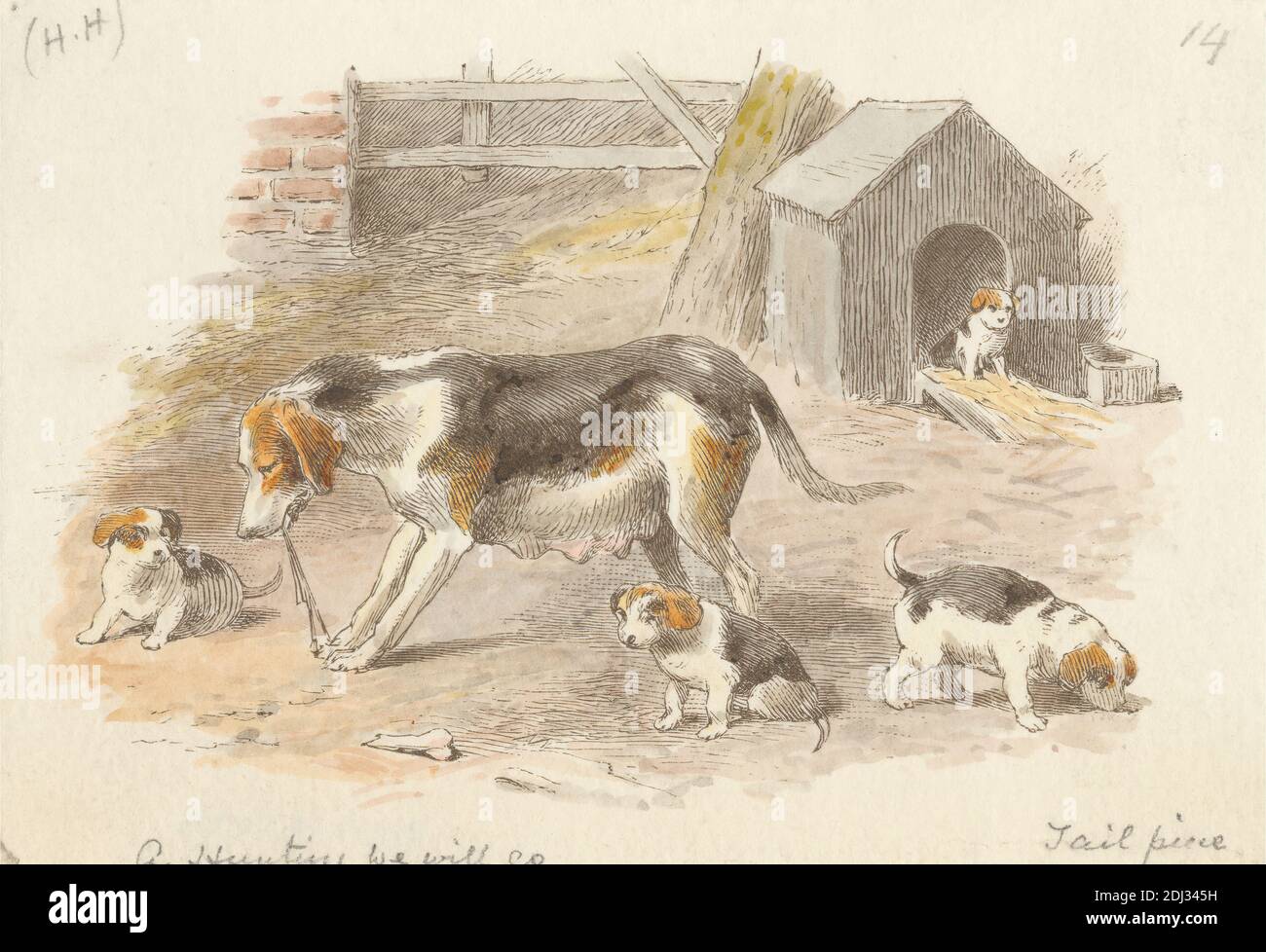 A-Hunting We will Go (Endstück), Druck von Alfred W. Cooper, aktiv 1850–1901, britisch, nach Alfred W. Cooper, aktiv 1850–1901, britisch, undatiert, Holzstich mit Handfärbung auf mäßig dickem, leicht strukturiertem, cremefarbenem Webpapier, Blatt: 7/16 x 1/16 cm (3 8.8 x 5 12.8 Zoll) und Bild: 2 15/16 x 4 3/8 Zoll (7.5 x 11.1 cm), Tierkunst, Tiere, Kinderliteratur, hundehütte, Hunde (Tiere), Zaun, Volksmärchen, Tor, Jagd, Illustration, Kinderreim, Welpen, Sportkunst Stockfoto