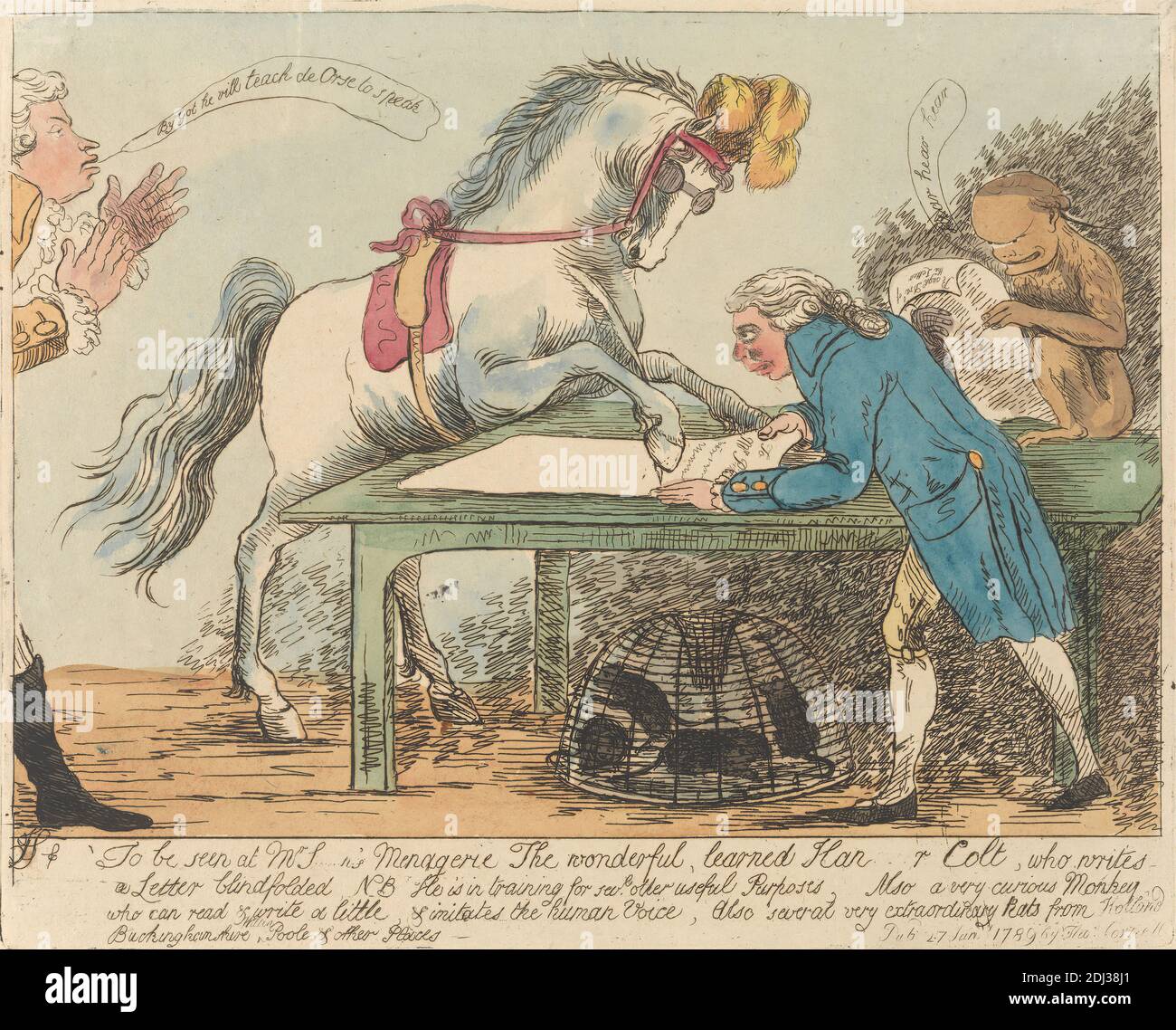 Zu sehen bei Herrn J------- n's Menagerie----- , James Sayer, 1748–1823, britisch, 1789, Radierung, handfarbig, Blatt: 7 x 9 (17.8 x 25,1 cm Stockfoto