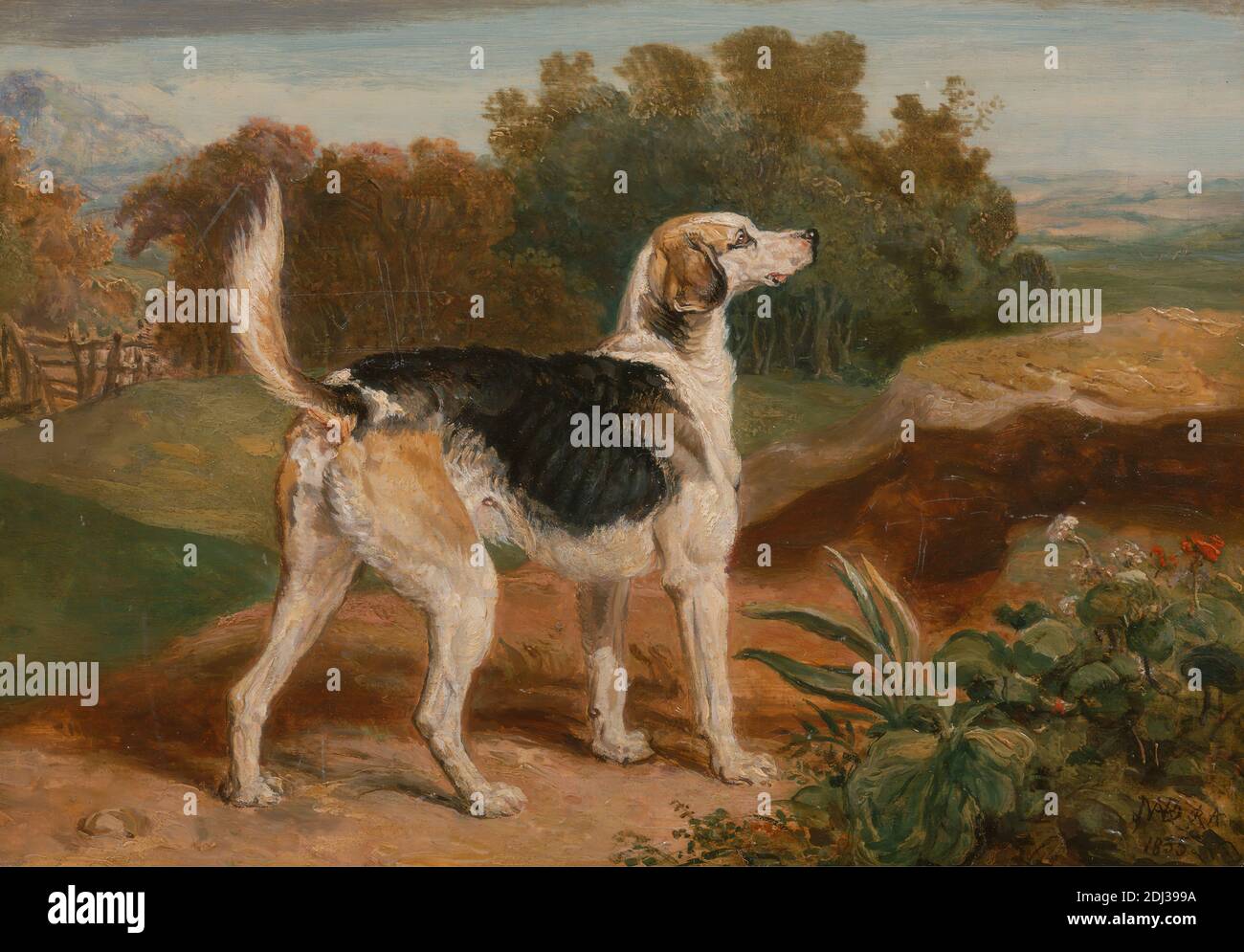 Ravager, One of the Lambton Hounds, James ward, 1769–1859, British, 1835, Oil on Panel, Support (PTG): 9 1/2 x 13 1/2 Zoll (24.1 x 34.3 cm), Hund (Tier), ländliche, sportliche Kunst Stockfoto