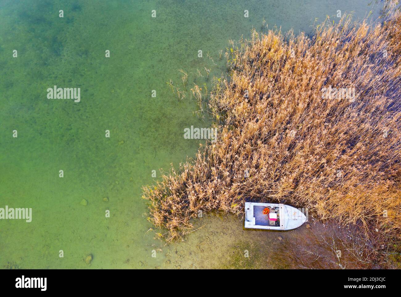 Fischerboot am Schilfgürtel des Irrsee, von oben, Drohnenaufnahme, Luftaufnahme, Zell am Moos, Mondseeland, Salzkammergut, Oberösterreich, Österreich Stockfoto