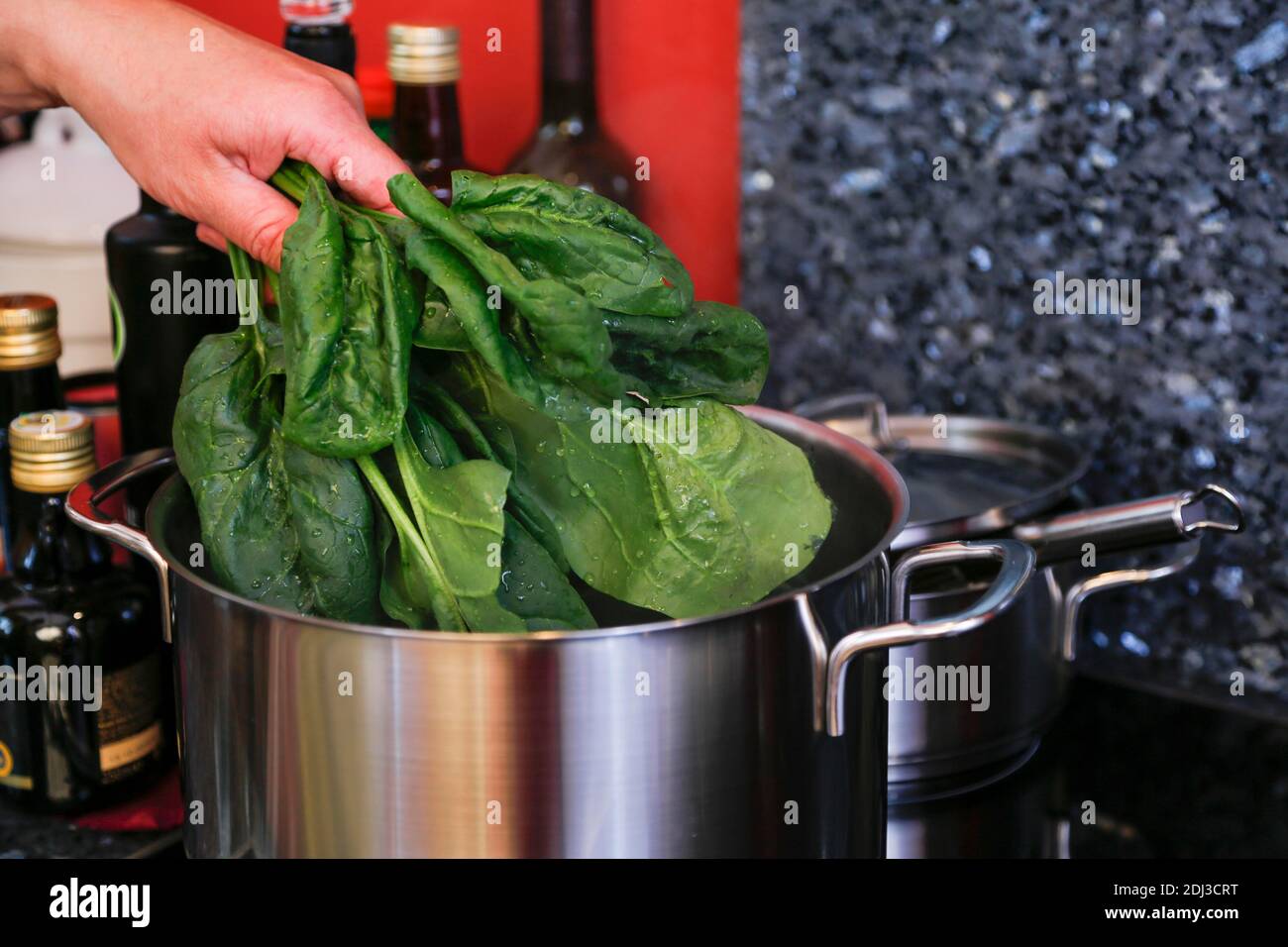 Süddeutsche Küche, Spinat in einen Topf geben, Gemüse zubereiten, Deutschland Stockfoto