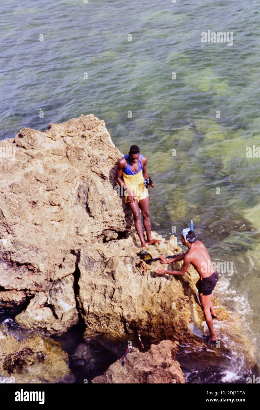 1990er Trinidad und Tobago - Einheimische Männer Speerfischen für Abendessen in Tobago Ca. 1995 Stockfoto