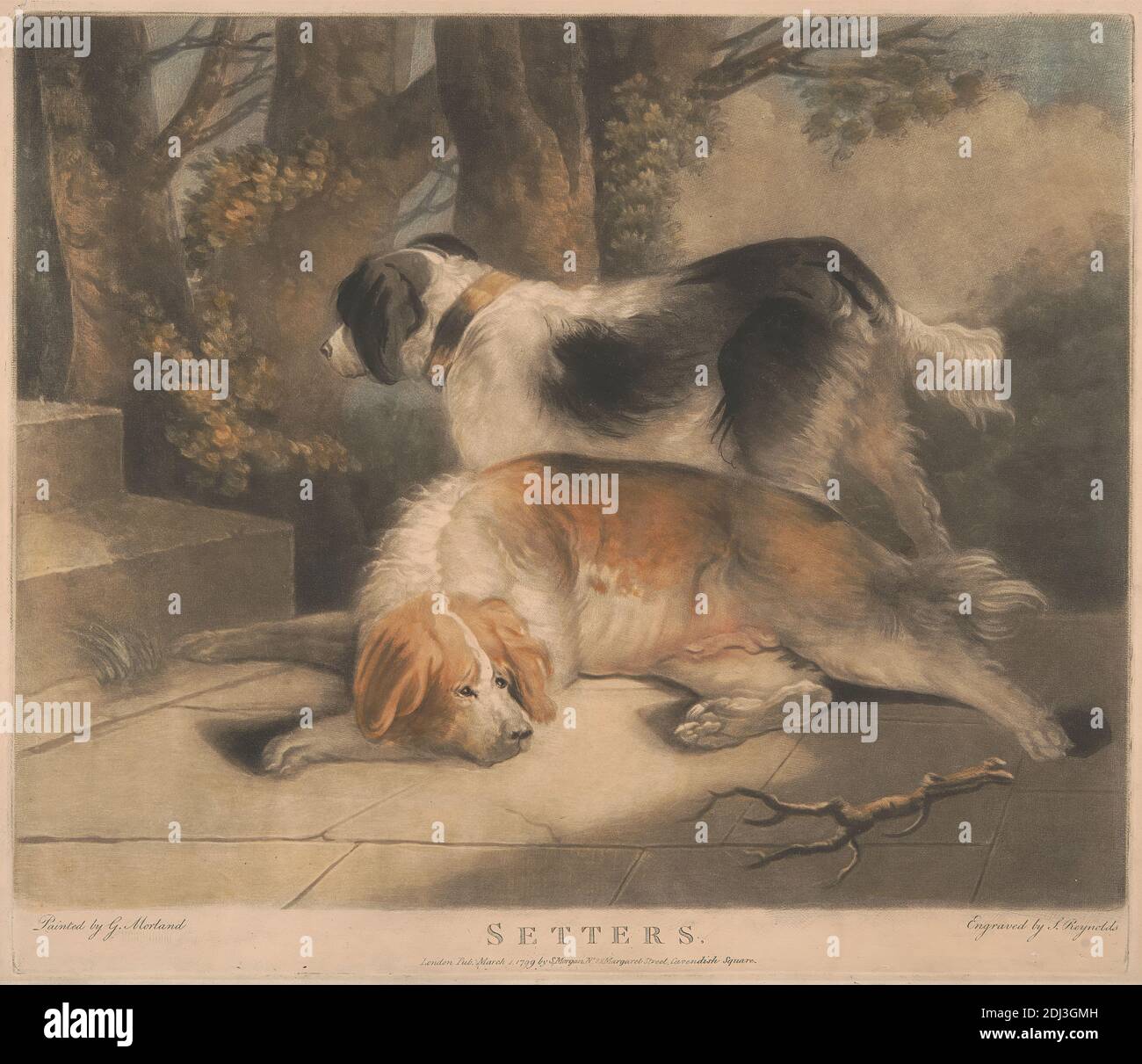 Dreharbeiten: Setters, Samuel William Reynolds, 1773–1835, britisch, nach George Morland, 1763–1804, britisch, 1799, farbiger mezzotint-Druck, Blatt: 12 3/4 x 14 (32.4 x 37,5 cm Stockfoto