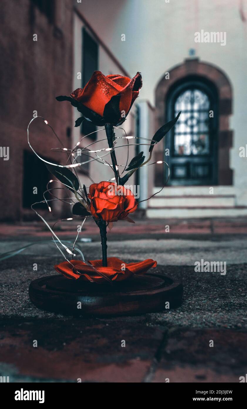 Die verzauberte Rose von der Schönheit und das Biest mit Vivid Rote