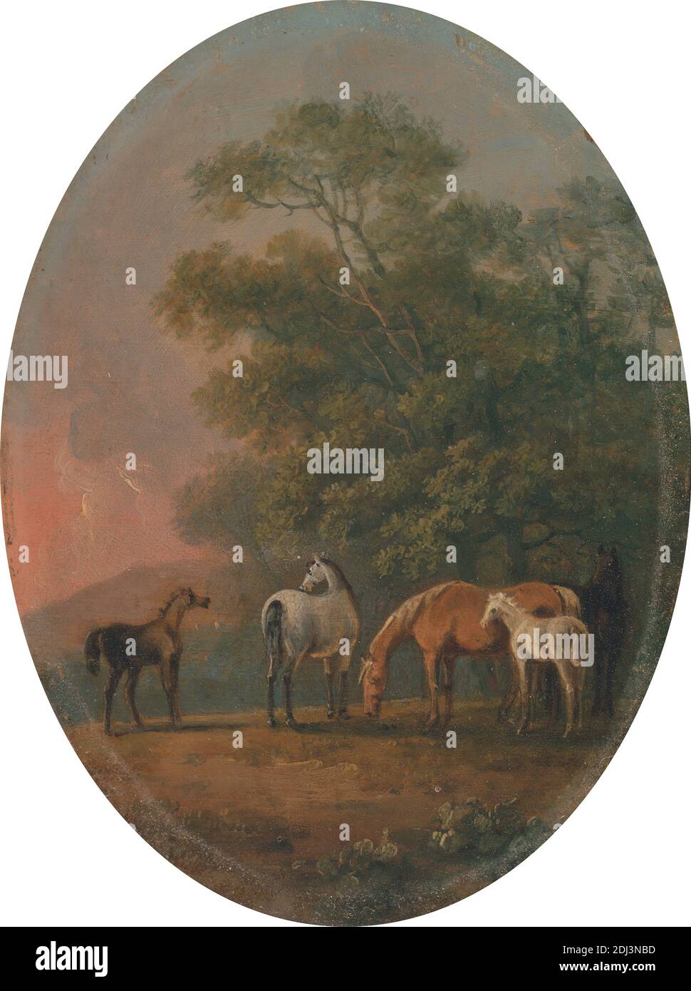 Stuten und Fohlen, Sawrey Gilpin, 1733–1807, britisch, zwischen 1770 und 1780, Öl auf Metall (Zink?), Stützelement (PTG): 6 1/4 x 4 3/4 Zoll (15.9 x 12.1 cm), Tierkunst, Tiere, Wolken, Fohlen, Pferde (Tiere), Stuten, Oval, Bäume Stockfoto